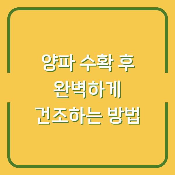 양파 수확 후 완벽하게 건조하는 방법