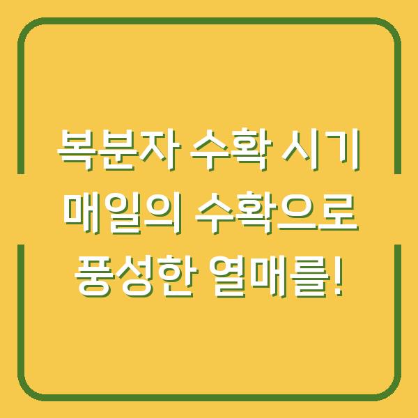 썸네일