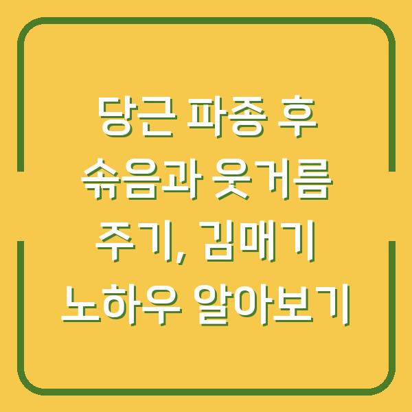 당근 파종 후 솎음과 웃거름 주기, 김매기 노하우 알아보기