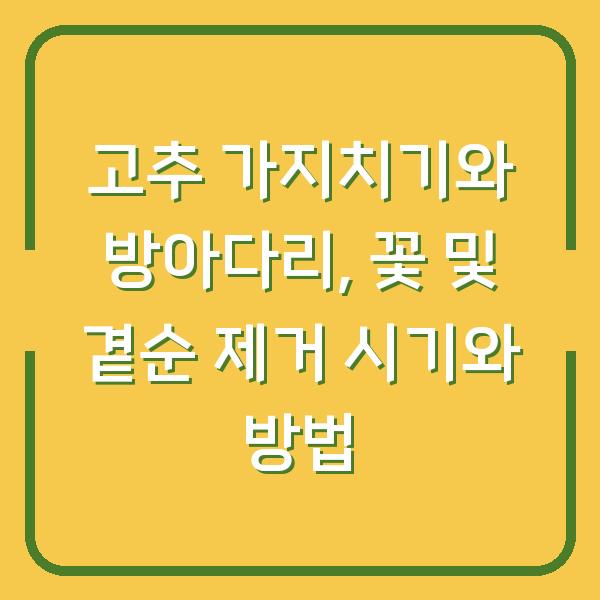 고추 가지치기와 방아다리, 꽃 및 곁순 제거 시기와 방법