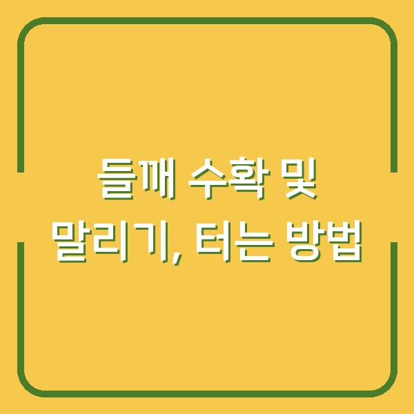 들깨 수확 및 말리기, 터는 방법