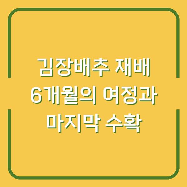 김장배추 재배 6개월의 여정과 마지막 수확