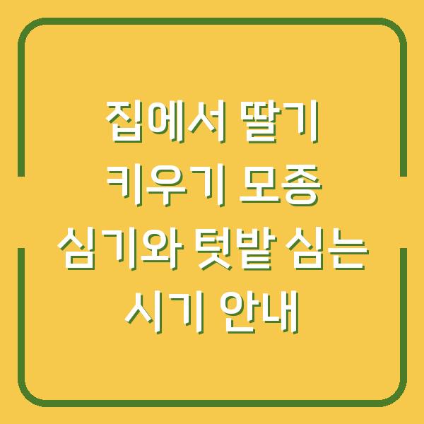 집에서 딸기 키우기 모종 심기와 텃밭 심는 시기 안내