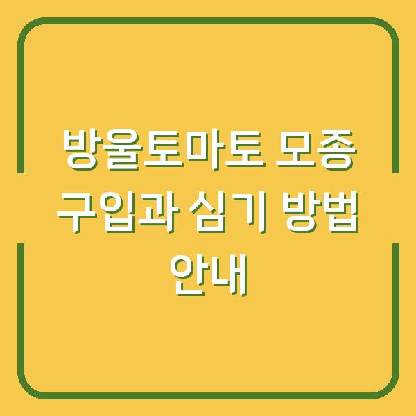 방울토마토 모종 구입과 심기 방법 안내