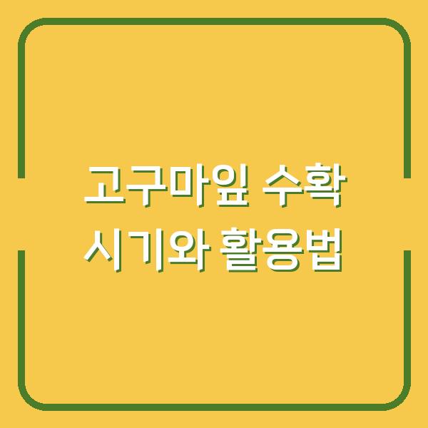 고구마잎 수확 시기와 활용법