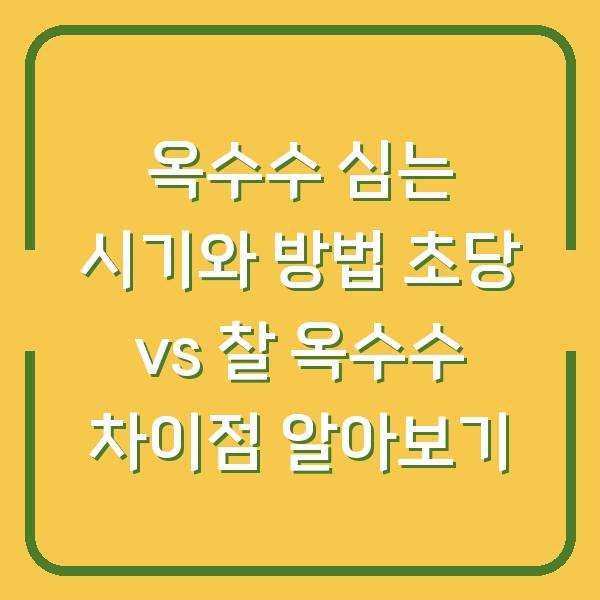 옥수수 심는 시기와 방법 초당 vs 찰 옥수수 차이점 알아보기