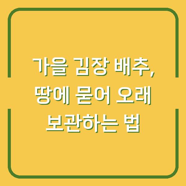 가을 김장 배추, 땅에 묻어 오래 보관하는 법