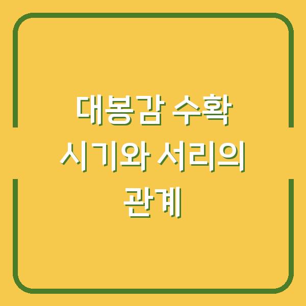 대봉감 수확 시기와 서리의 관계