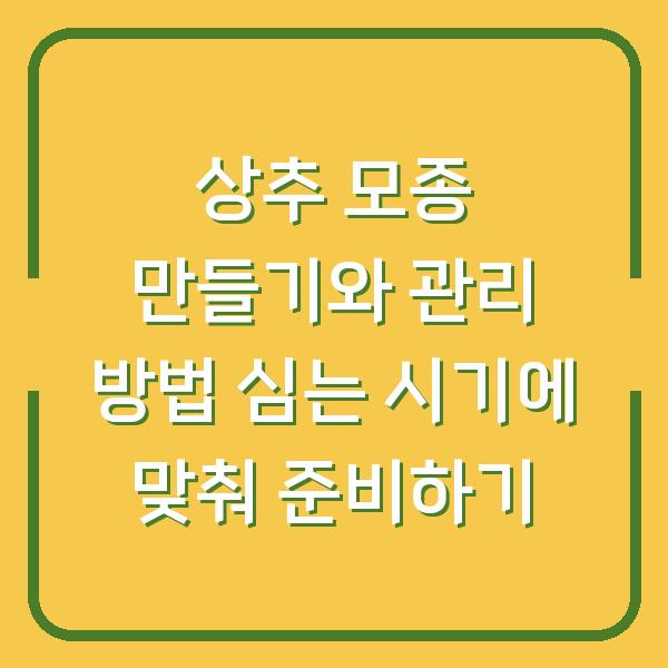 상추 모종 만들기와 관리 방법 심는 시기에 맞춰 준비하기