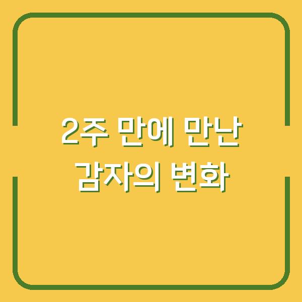 2주 만에 만난 감자의 변화