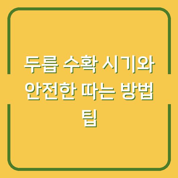 두릅 수확 시기와 안전한 따는 방법 팁