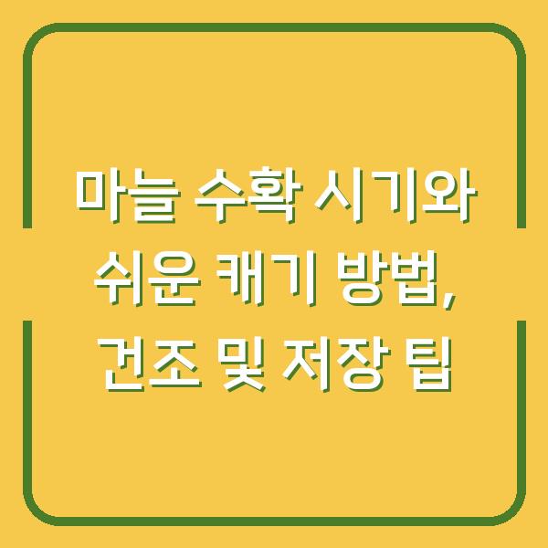 마늘 수확 시기와 쉬운 캐기 방법, 건조 및 저장 팁