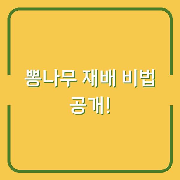 뽕나무 재배 비법 공개!