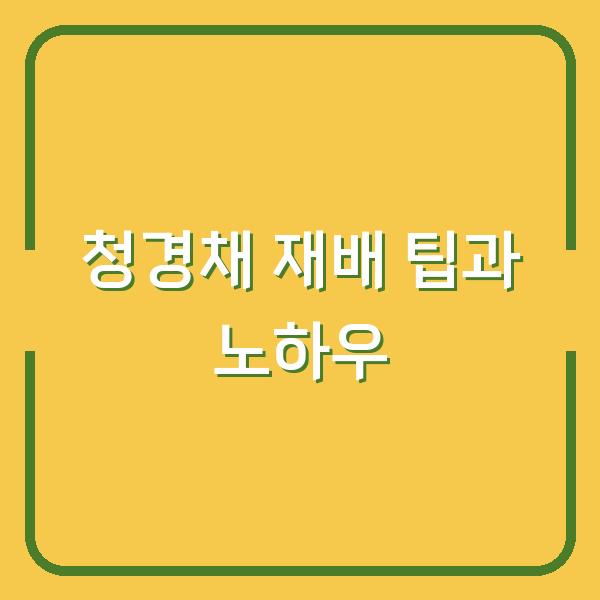 썸네일