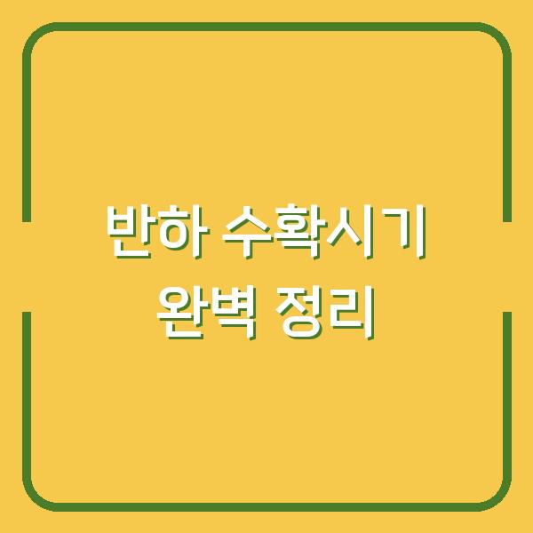 썸네일