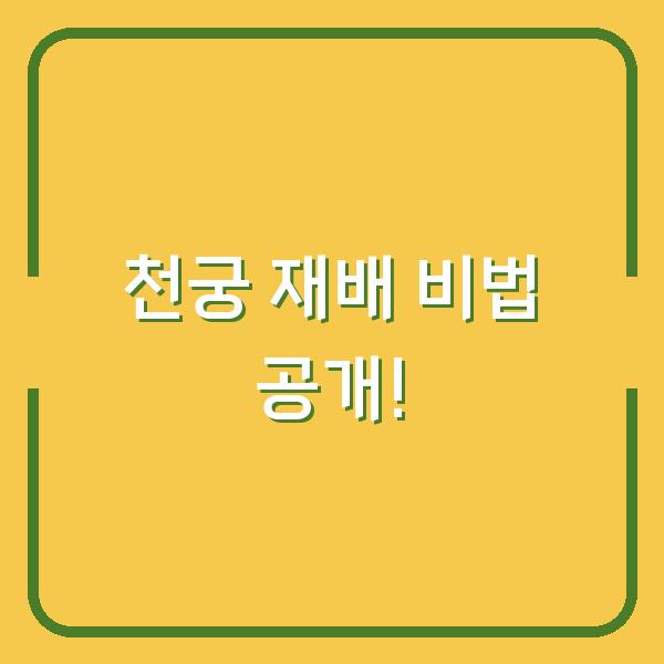 썸네일