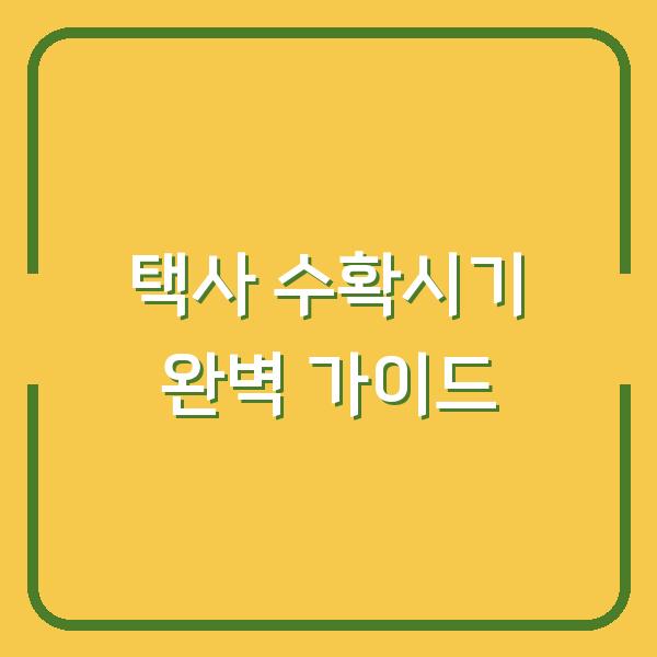 택사 수확시기 완벽 가이드