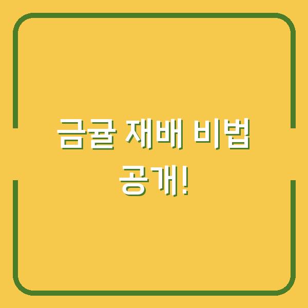 금귤 재배 비법 공개!