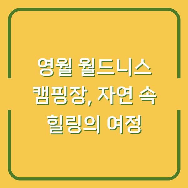 영월 월드니스 캠핑장, 자연 속 힐링의 여정