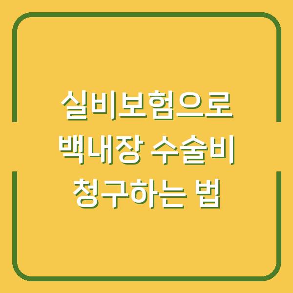 실비보험으로 백내장 수술비 청구하는 법