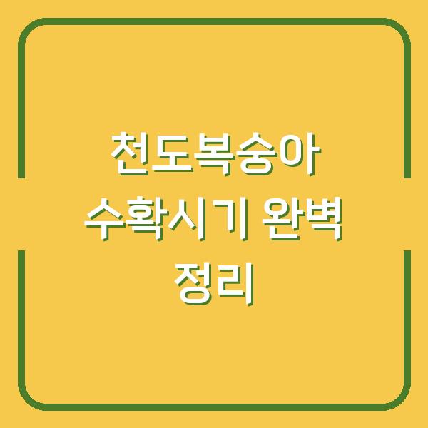 썸네일