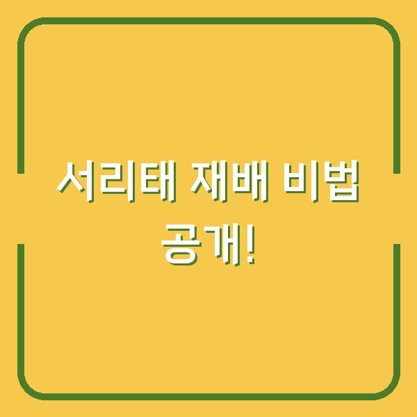 썸네일