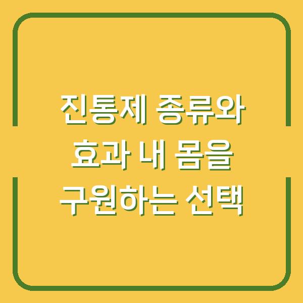 진통제 종류와 효과 내 몸을 구원하는 선택