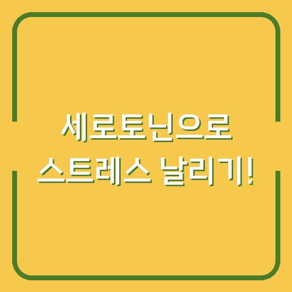 세로토닌으로 스트레스 날리기!