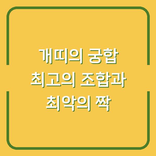 개띠의 궁합 최고의 조합과 최악의 짝