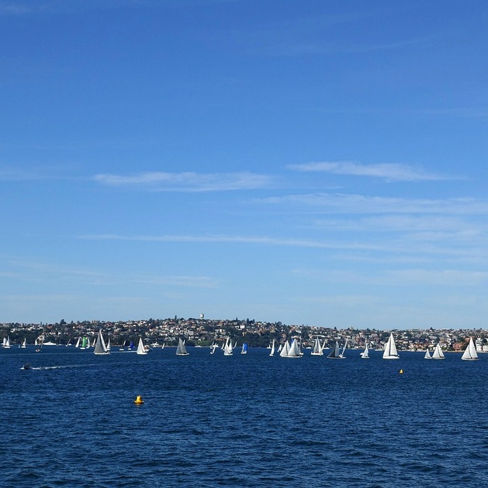 공연장 안전교육