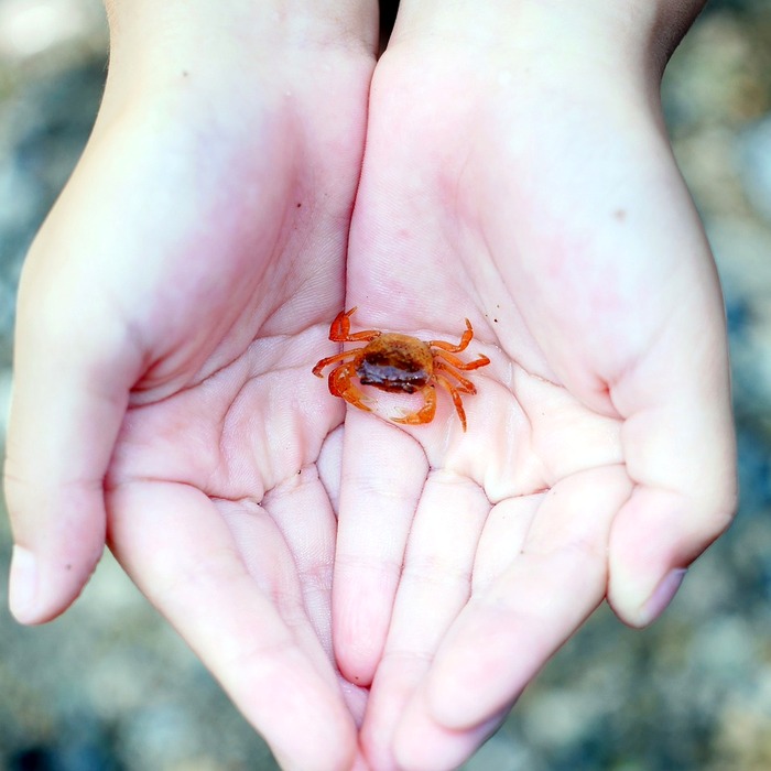 제휴사와 광고주
