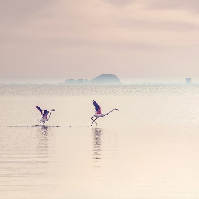 수경 보관 케이스