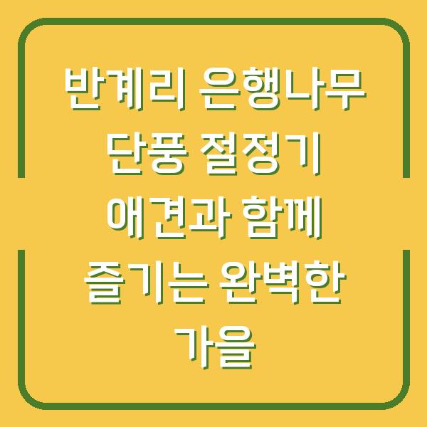 반계리 은행나무 단풍 절정기 애견과 함께 즐기는 완벽한 가을