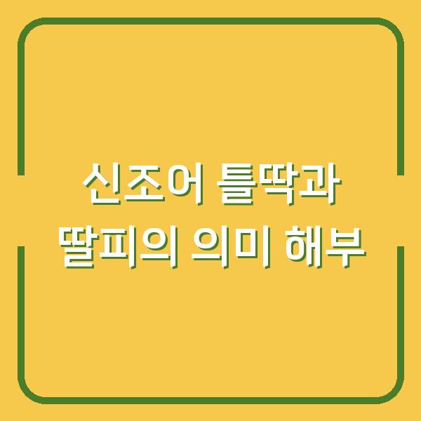 신조어 틀딱과 딸피의 의미 해부