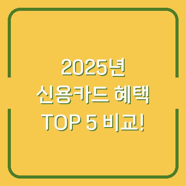2025년 신용카드 혜택 TOP 5 비교!