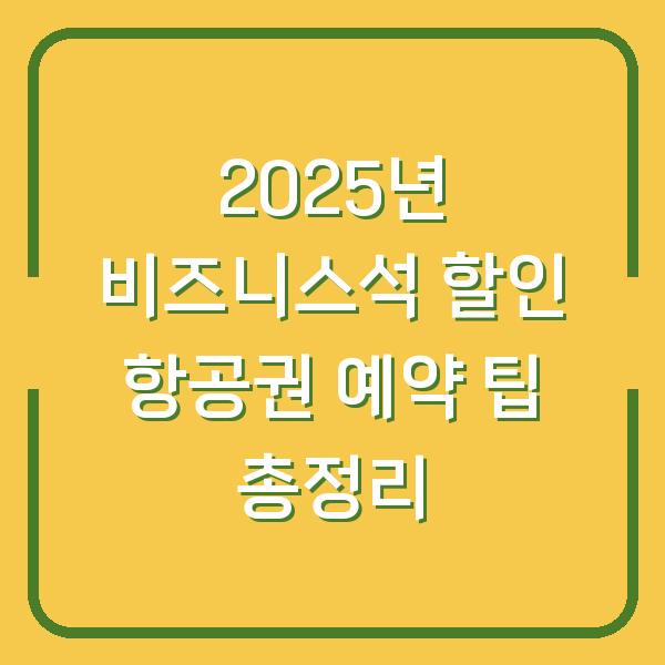 2025년 비즈니스석 할인 항공권 예약 팁 총정리