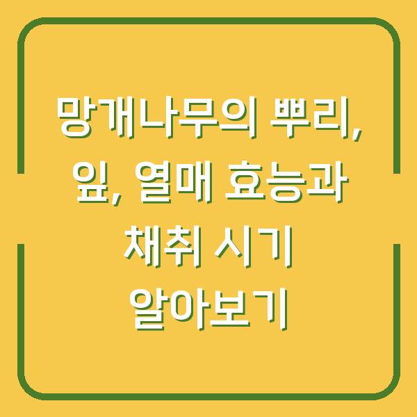 썸네일