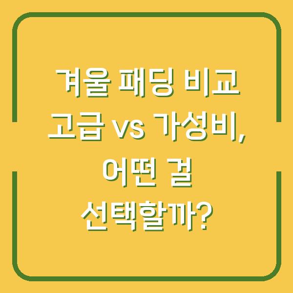 겨울 패딩 비교 고급 vs 가성비, 어떤 걸 선택할까?