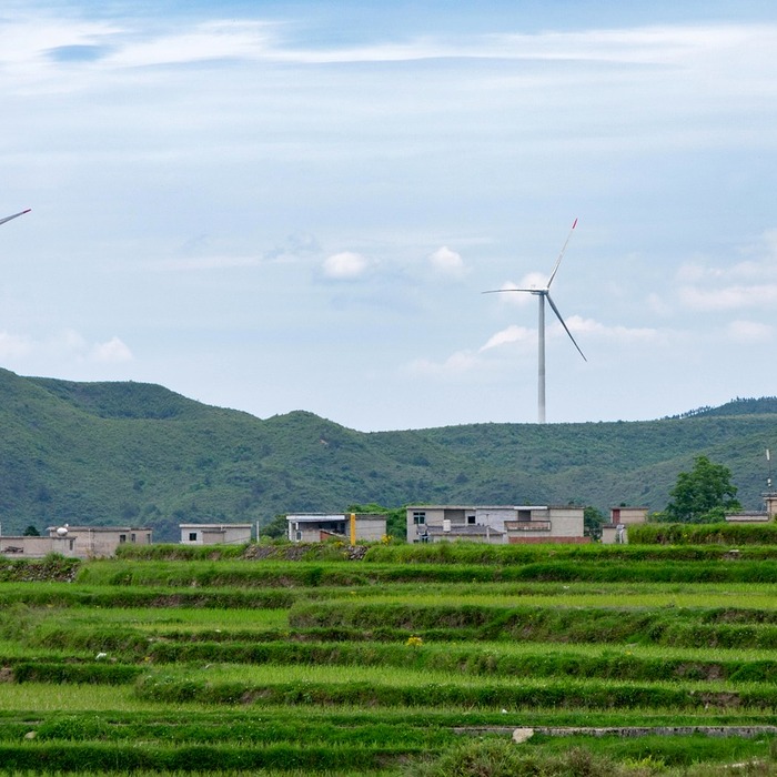 지속 가능한 발전