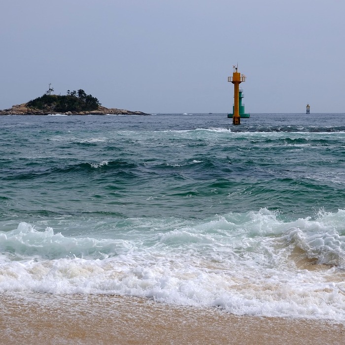 속초 중앙닭강정