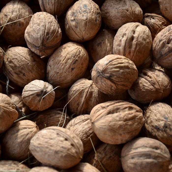 고급 게스트 하우스