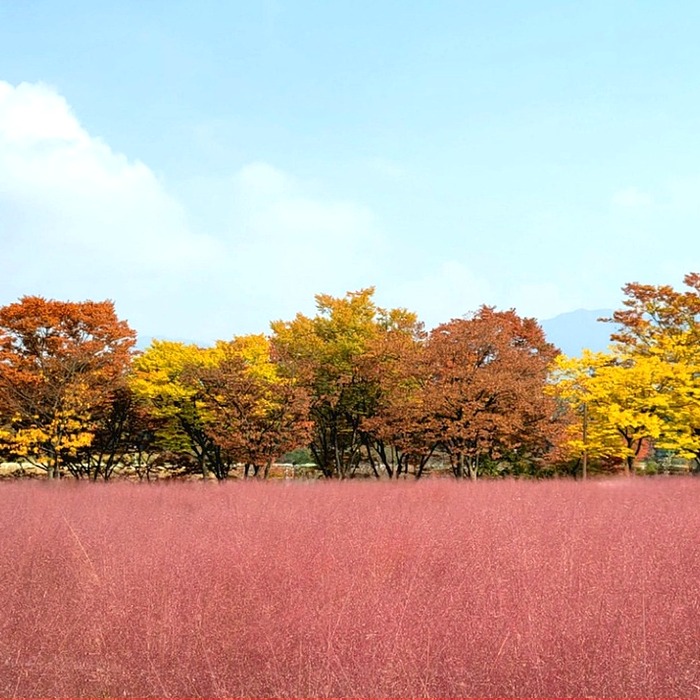 국민내일배움카드