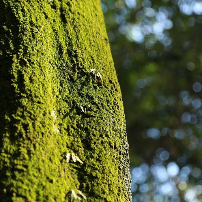 환경 친화적 자재