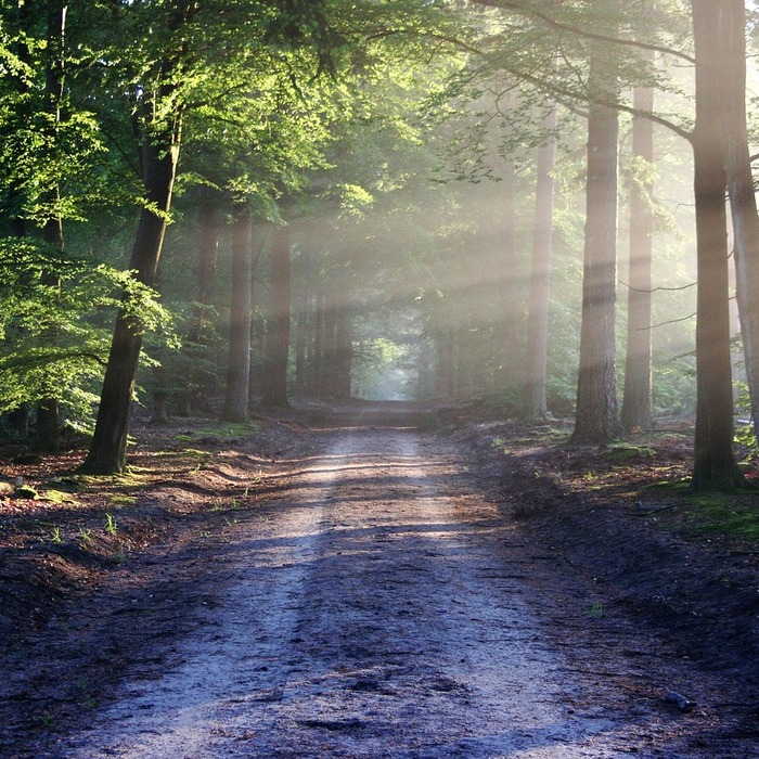 세균 감염 경로