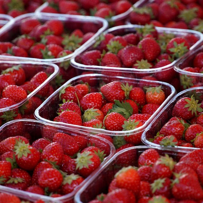 니시키 시장 음식