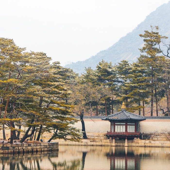 경복궁 광화문