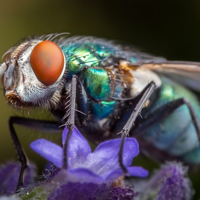 파리 명품 거리