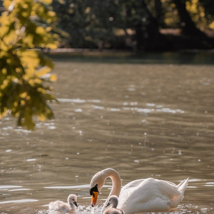 알림 관리 화면