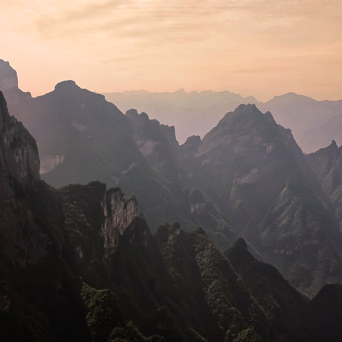 배변 횟수 정상 범위