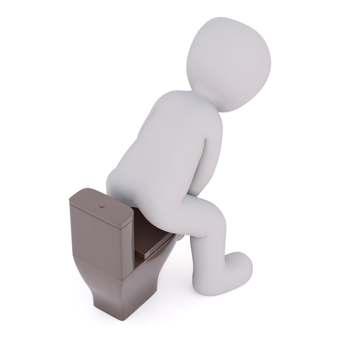 스트레스와 배변